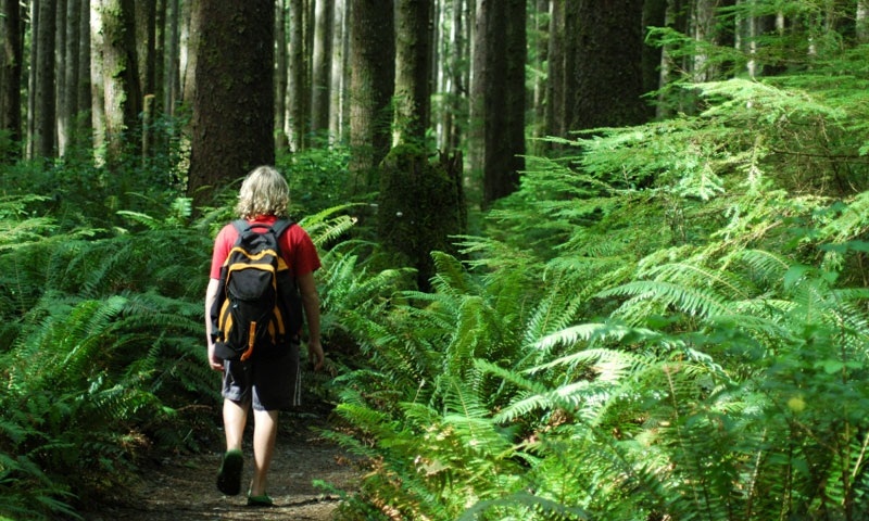 Various things to do in Olympic national park